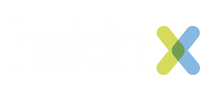 Logo Haldin